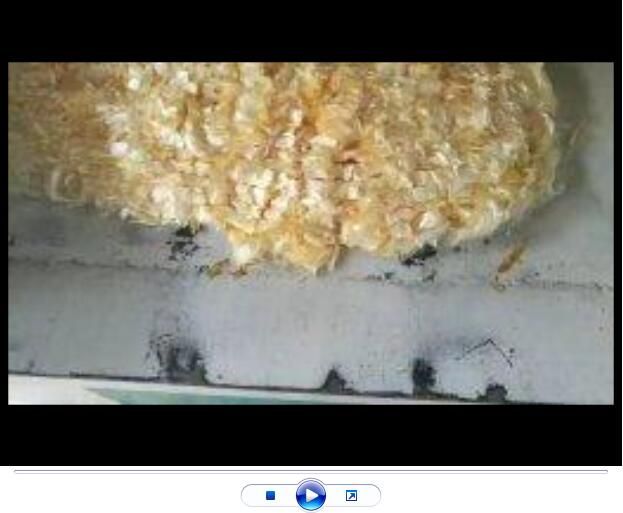 點擊查看詳細信息<br>標題：聚丙烯腈纖維生產中【視頻】 閱讀次數：2768