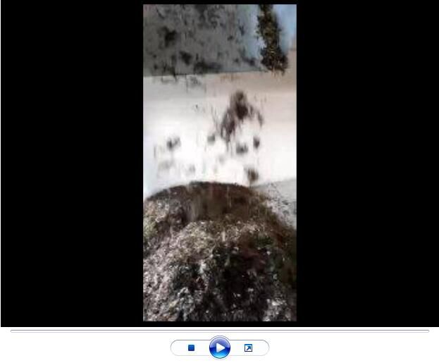 點擊查看詳細信息<br>標題：玄武巖纖維生產中【視頻】 閱讀次數：2688